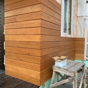 Фасады из лиственницы